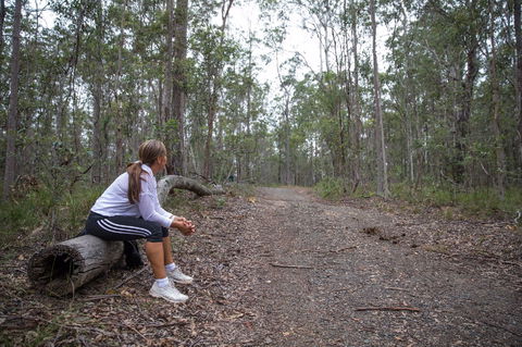 Ironbark Ridge And Spotted Gum Walking Trails - Attractions 1
