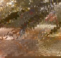 Kholo Gardens Trails - Attractions