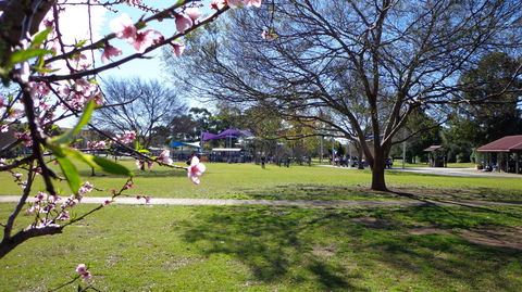 Koshigaya Park - Attractions 0