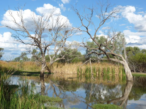 Lagoon Creek - Attractions 0
