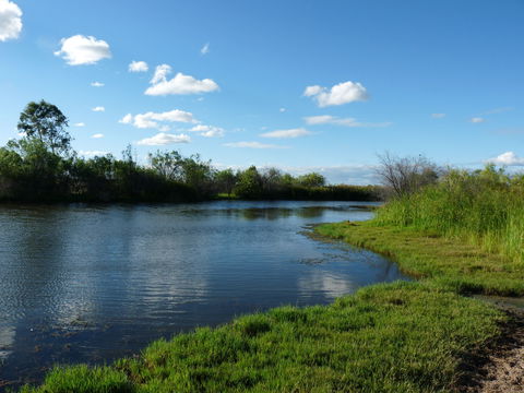 Lagoon Creek - Attractions 2