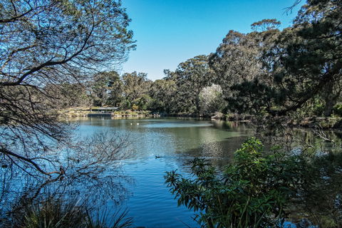 Lake Alexandra Reserve - Attractions 1