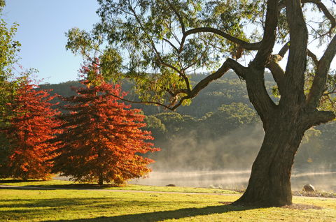 Lake Alexandra Reserve - Attractions 2