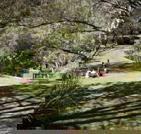 Leura Cascades - Attractions