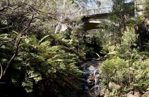 Leura Cascades - Attractions 2