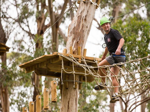 Live Wire Park - Attractions 1