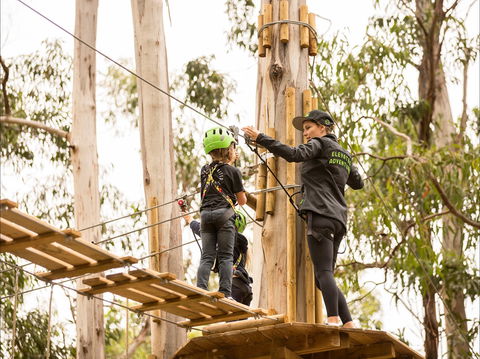 Live Wire Park - Attractions 2