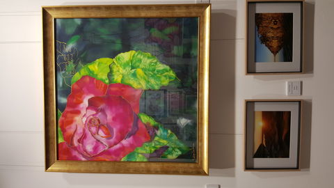 Macleay Valley Community Art Gallery - Attractions 0