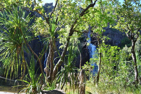 Manngarre Rainforest Walk - Attractions 1