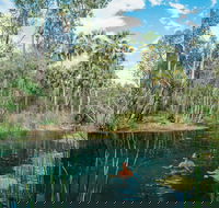 Mataranka - Attractions