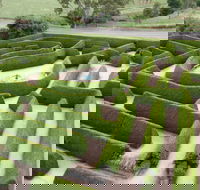 Mintaro Maze - Attractions