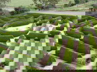Mintaro Maze
