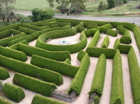 Mintaro Maze - Attractions 0