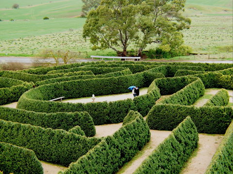Mintaro Maze - Attractions 1
