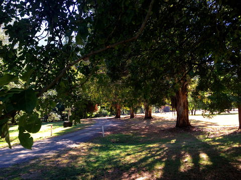 Mirimbah Park - Attractions 0