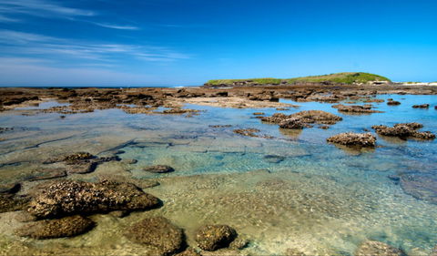 Moonee Beach Trail - Attractions 0
