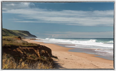 Morgan Beach - Attractions 0