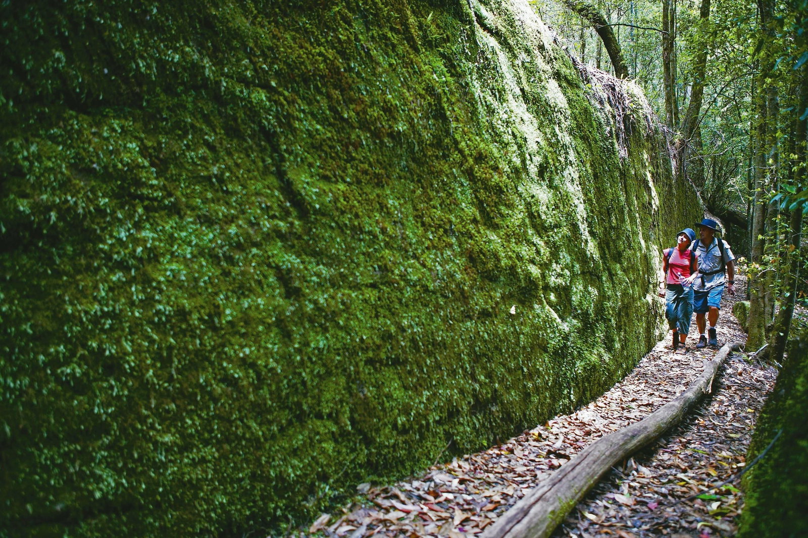 Morisset NSW Attractions