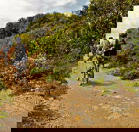 Mountain Biking Trails - Attractions