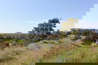 Mt Piper Nature Conservation Reserve