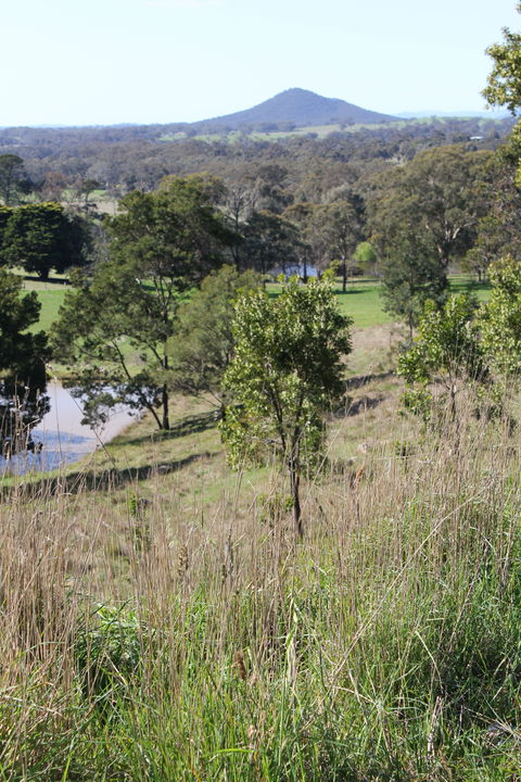 Mt Piper Nature Conservation Reserve - Attractions 1