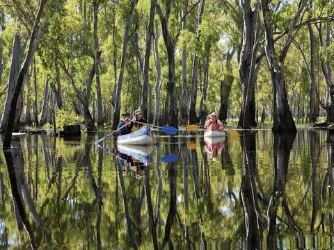 Murray River Canoe Trails - Attractions 0