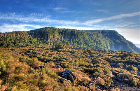 New England National Park - Attractions 0