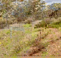 Old Mountain Road Walking Track - Attractions