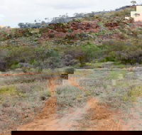 Original Glen Helen Homestead - Attractions