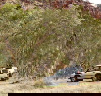Owen Springs Reserve - Attractions