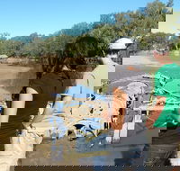 Paddle Steamer Wagga Wagga Wreck - Attractions
