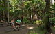 Palms Picnic Area - thumb 0