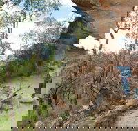 Pilliga National Park - Attractions Las Vegas