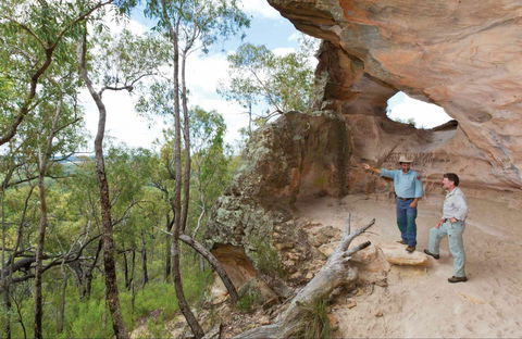 Pilliga National Park - Attractions 0