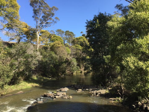 Pipers River Board Walk - Attractions 0