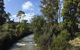Pipers River Board Walk - thumb 1