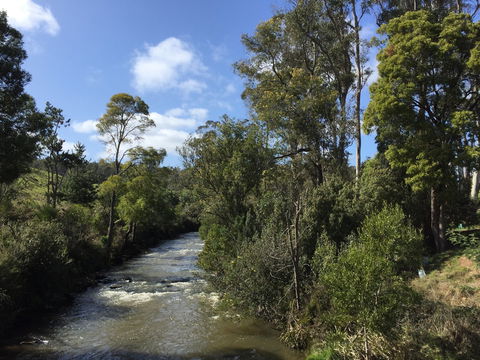 Pipers River Board Walk - Attractions 1