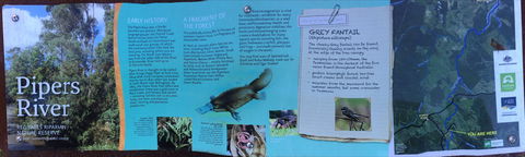 Pipers River Board Walk - Attractions 2