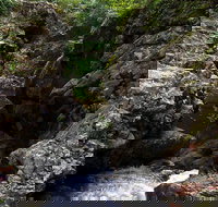 Potoroo Falls walk - See Attractions