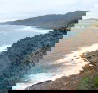 Pretty Beach to Snapper Point Walking Track - Attractions