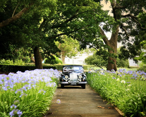 Queens Park, Toowoomba - Attractions 2