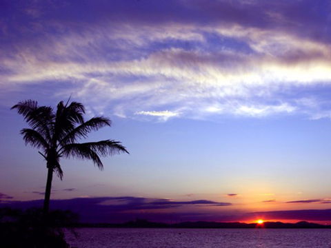 Quoin Island Retreat And Turtle Rehabilitation Centre - Attractions 0