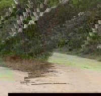 Riverview walking track - Attractions