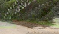Riverview walking track