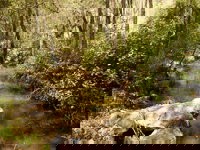 Book Sandstone Point Accommodation Vacations Attractions Attractions