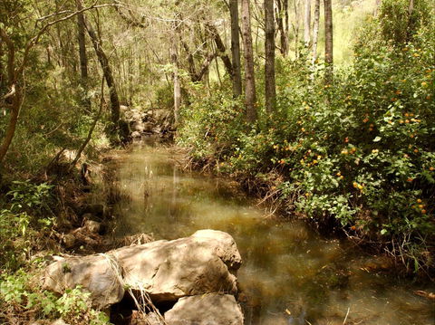 Sandy Creek Track - See Attractions 0