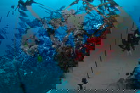 Severance Shipwreck Dive Site