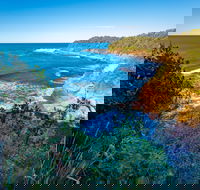 Shellgrit Beach Red Head - Attractions