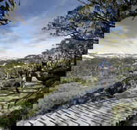 Snow Gums boardwalk - Attractions