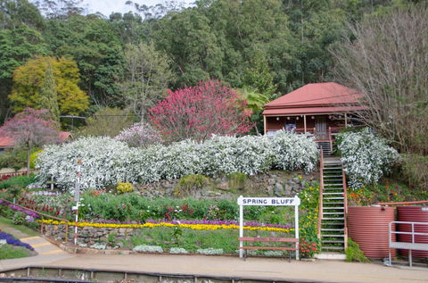 Spring Bluff Railway Station - Attractions Las Vegas 1